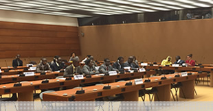 LDCs/SIDS Delegates,  Beneficiaries of the  LDCs/SIDS Trust Fund, 29th session of the Human Rights Council